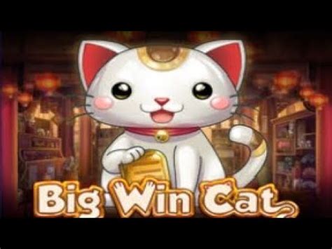 Big Win Cat 1xbet
